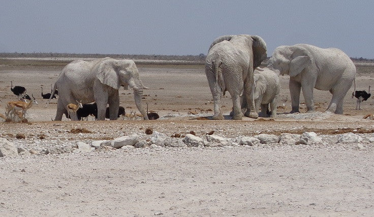 Marion Leigh’s third novel ready for Beta readers