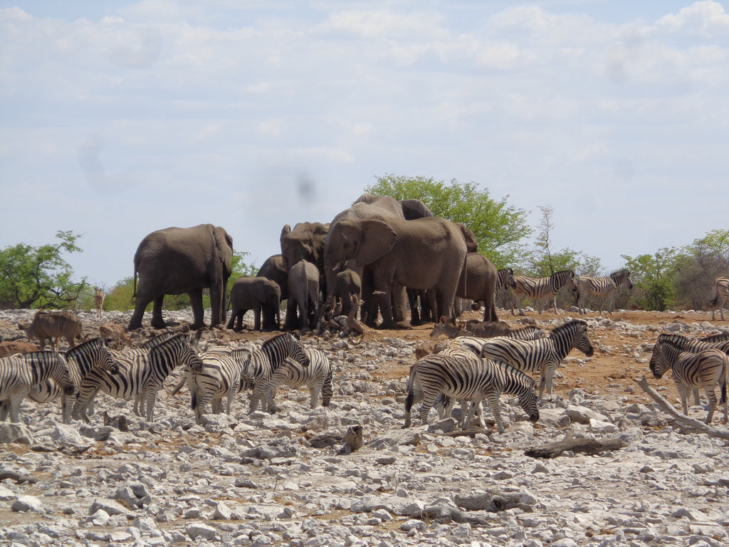 A Holiday to Die For takes Petra Minx to Namibia
